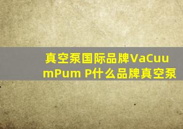 真空泵国际品牌VaCuumPum P什么品牌真空泵